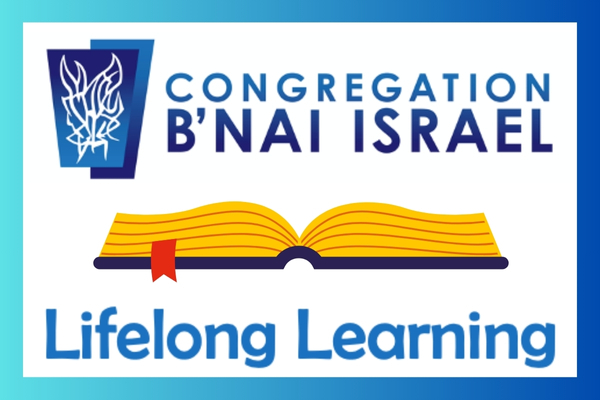 CBI Lifelong Learning v2